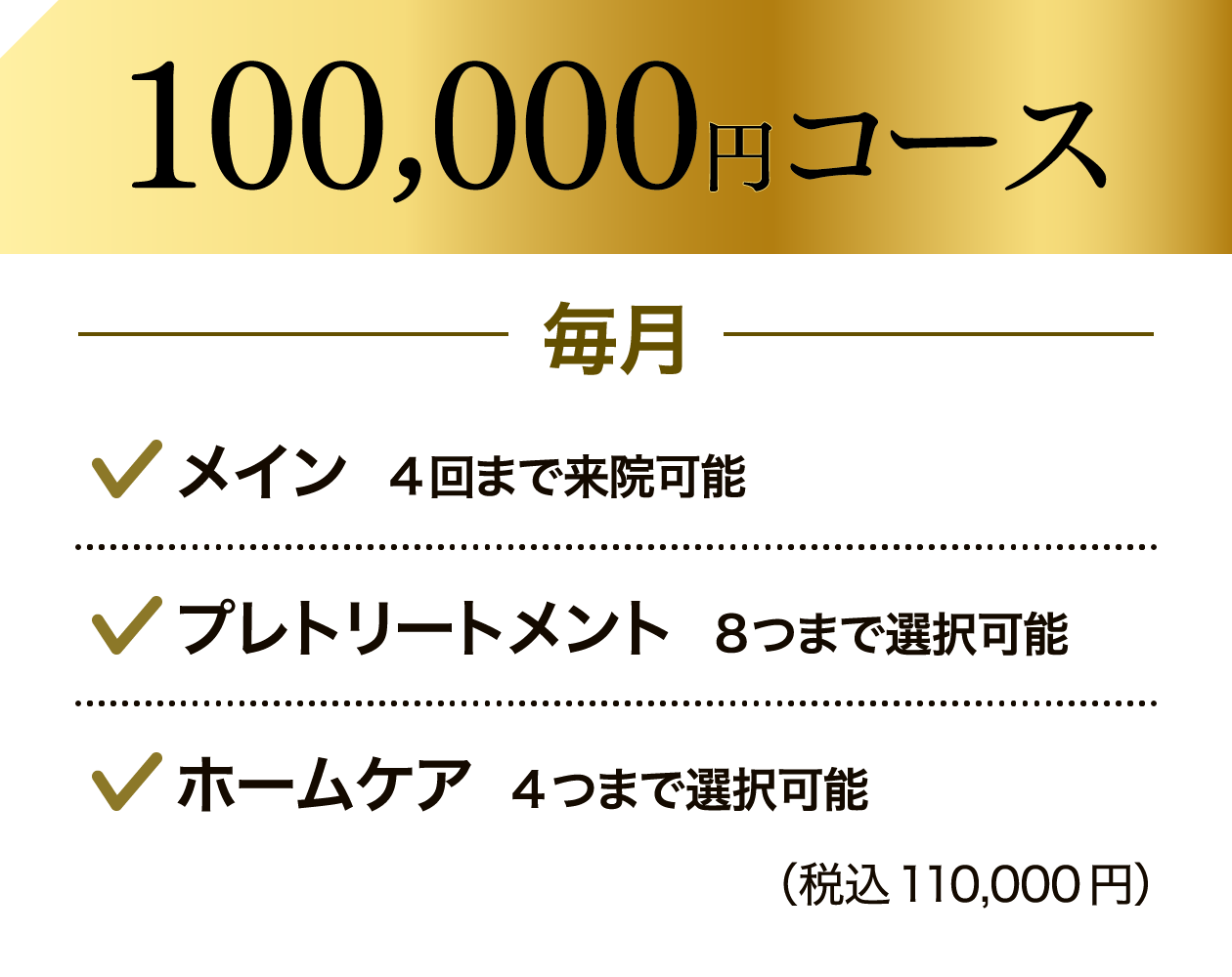 100,000円コース　毎月・メイン4回まで来院可能・プレトリートメント8つまで選択可能・ホームケア4つまで選択可能(税込：110,000円)