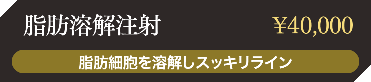 脂肪溶解注射 ¥40,000 脂肪細胞を溶解しスッキリライン