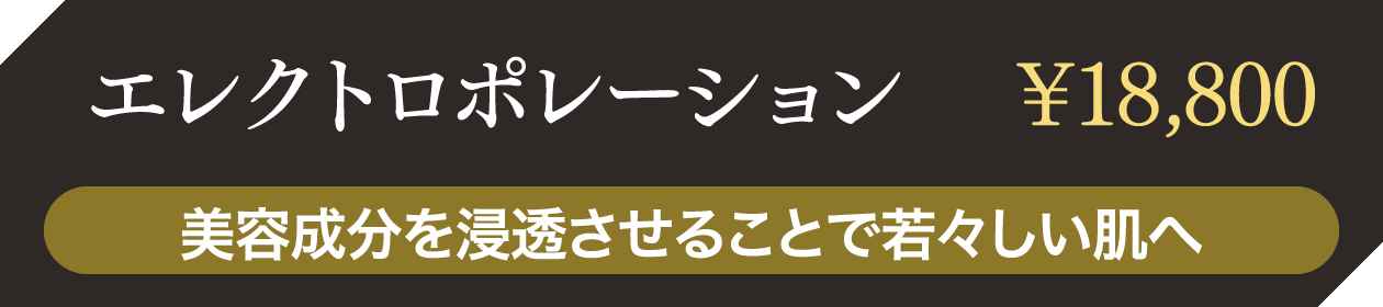 エレクトロポレーション ¥18,800 美容成分を浸透させることで若々しい肌へ