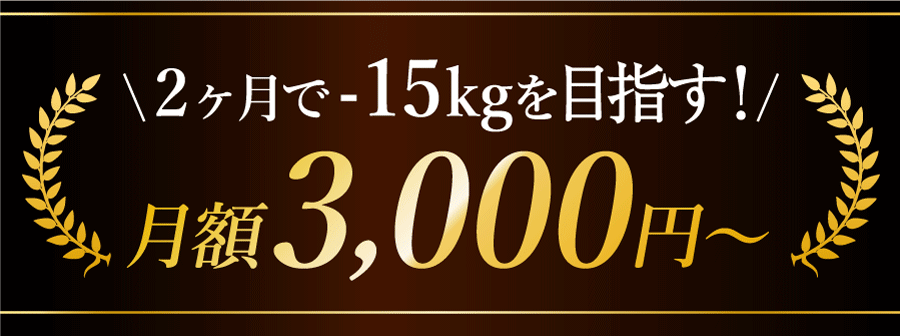 2ヶ月で-15kgを実現！　月額3,000円～