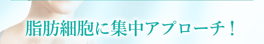 脂肪細胞に集中アプローチ！