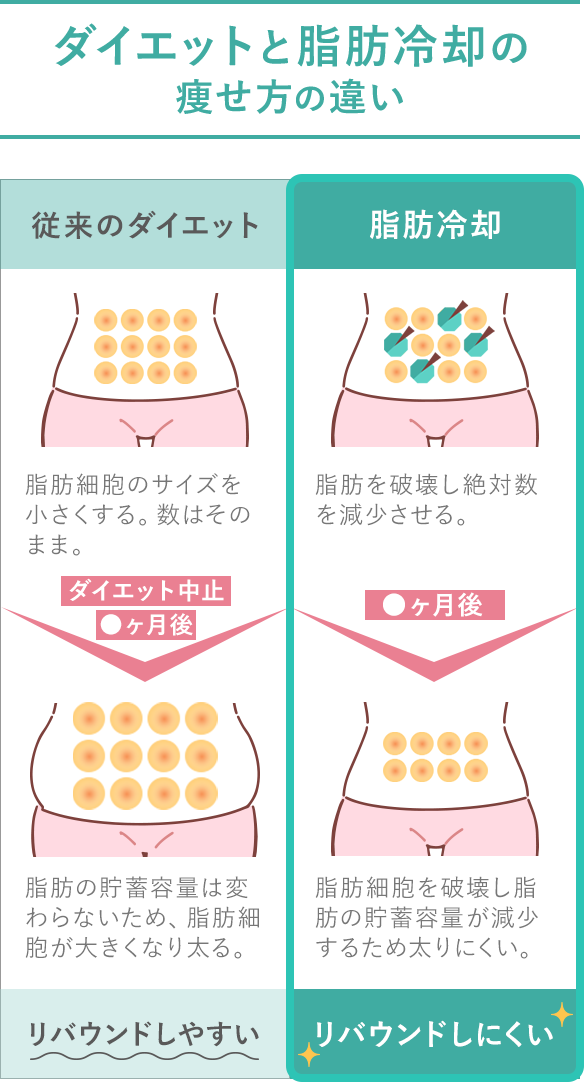 ダイエットと脂肪冷却の痩せ方の違い