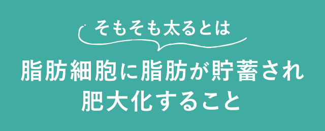 そもそも太るとは脂肪細胞に脂肪が貯蓄され肥大化すること