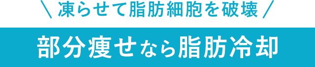 部分痩せなら脂肪冷却