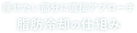 脂肪冷却の仕組み